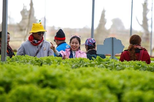 Kết nối cao nguyên, biển xanh và núi rừng để phát triển du lịch canh nông Lâm Đồng