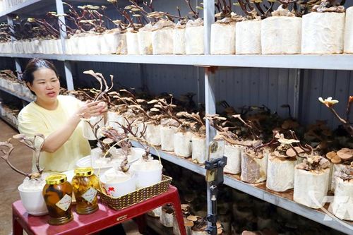 Chuyển đổi số không còn là khẩu hiệu