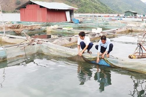 Mường Khiêng giàu lên từ lòng hồ sông Đà