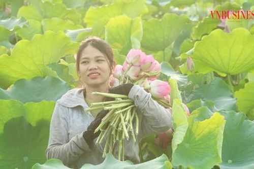 Về xứ Nghệ xem nông dân làm du lịch, xây dựng nông thôn mới