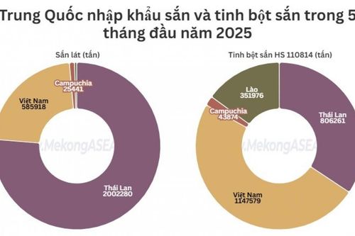 Việt Nam là nguồn cung tinh bột sắn lớn nhất của Trung Quốc