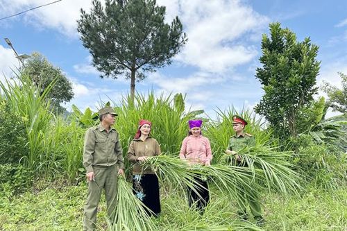 'Cánh tay nối dài' góp phần giữ bình yên bản làng