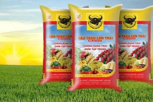 Phân bón Bình Điền (BFC) ước lãi quý II/2025 đạt hơn 184 tỷ đồng