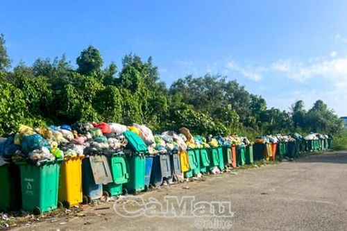 Sớm khắc phục tình trạng ùn ứ rác trên đê biển Tây