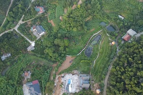 Phân quyền quản lý cho cấp xã trong lĩnh vực lâm nghiệp:Thuận lợi để phát triển du lịch sinh thái