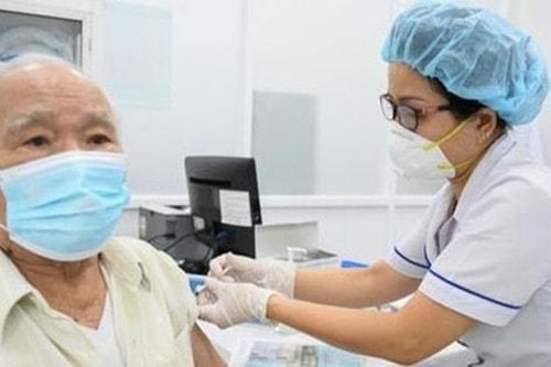 Người cao tuổi có thể tiêm vắc xin phòng não mô cầu?