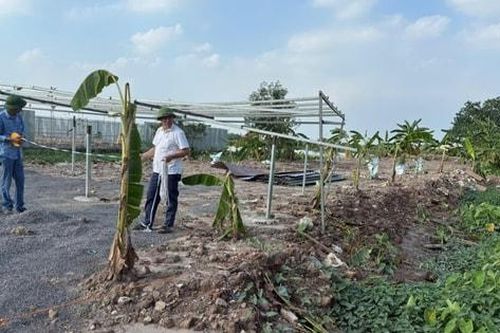 Xã Phượng Dực tập trung quản lý đất đai, chuyển đổi số, cải cách hành chính