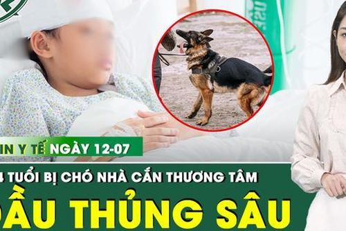 Bản Tin Y Tế 12/7: Thương tâm: Bị chó nhà cắn, bé 4 tuổi đầu thủng sâu