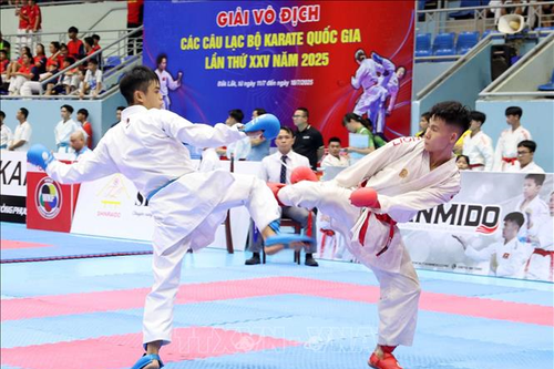 Giải các câu lạc bộ karate quốc gia