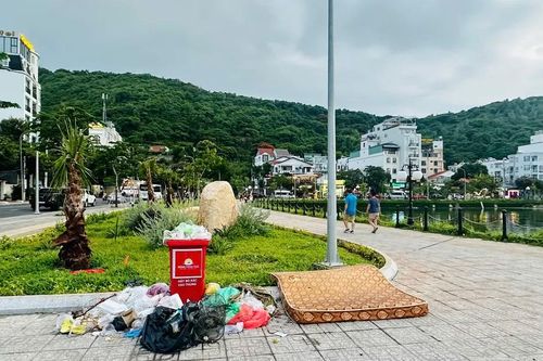 Công viên Ao cá ở phường Vũng Tàu (TPHCM) nhếch nhác vì rác thải