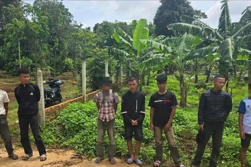 Dàn cảnh mượn điện thoại rồi bỏ chạy, 5 đối tượng bị khởi tố