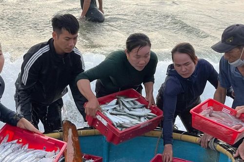 Chợ cá Nhân Trạch: Khi bình minh họp chợ bên sóng