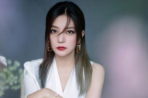 Ai đứng sau chiến dịch bôi nhọ nữ diễn viên Triệu Vy?