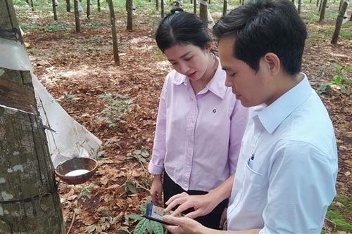 Chàng trai dân tộc Nùng tiên phong thực hiện số hóa, kiến tạo tương lai