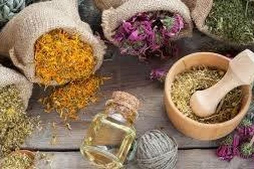 Uống thuốc đông y chữa suy thận được không?