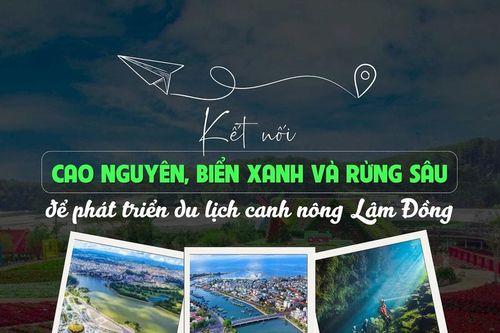 Kết nối cao nguyên, biển xanh và rừng sâu để phát triển du lịch canh nông Lâm Đồng