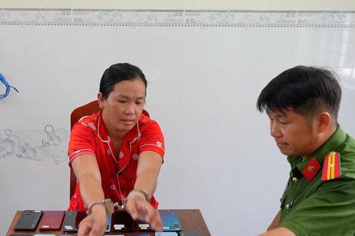 Bắt nữ quái thực hiện hơn 20 vụ trộm cắp tài sản