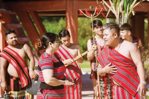 Trái tim Pa Cô giữa đại ngàn