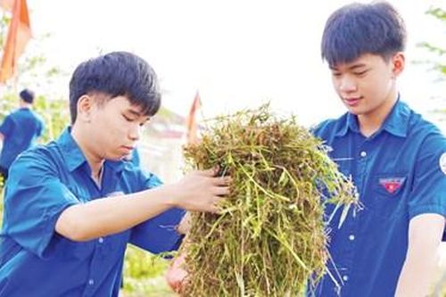 Nền tảng cho hành trình xây dựng thành phố xanh
