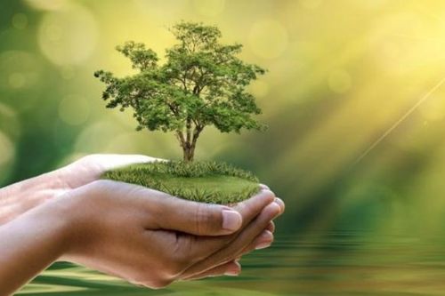 Danh mục Phân loại Xanh góp phần hoàn thiện hệ sinh thái tài chính xanh tại Việt Nam