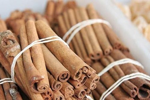 HAFOREXIM (HFX): Thua lỗ hơn một thập kỷ, âm vốn 237 tỷ, Chủ tịch HĐQT xin từ chức