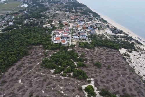 2,5 ha rừng phòng hộ ven biển bị chặt phá, Lãnh đạo phường ở Huế nói gì?