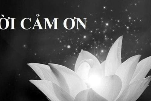 Lời cảm ơn