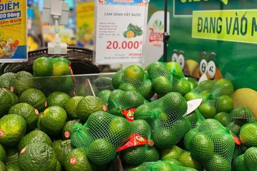 Loại quả 'quốc dân' giàu vitamin C bán đầy chợ Việt giá rẻ bèo, chỉ hơn chục nghìn đồng/kg