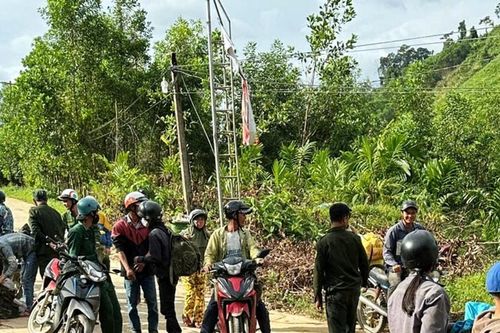 Người dân đổ xô vào rừng nhặt ươi bay