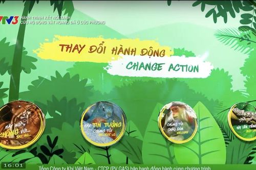 Thắp sáng hy vọng từ những cuộc giải cứu động vật hoang dã tại Cúc Phương