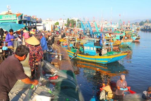 Ngư dân ở Lâm Đồng hiện đại hóa nghề cá: Giảm chi phí, tăng hiệu quả