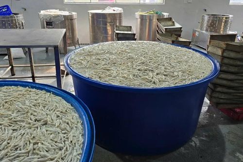 Thanh Hóa: Phát hiện gần 7 tấn chân gà ngâm hóa chất