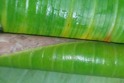 Thức quà đặc biệt