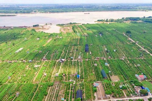 Hà Nội: Cho phép khai thác đất bãi sông phục vụ du lịch, nông nghiệp