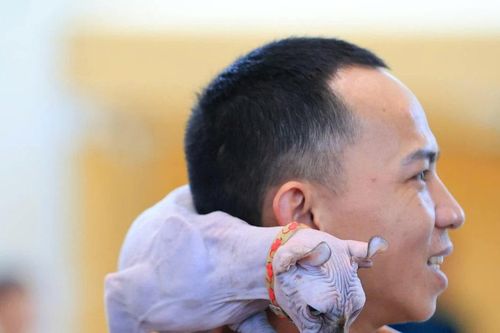 Giới trẻ khoe thú cưng độc lạ ở Đà Nẵng