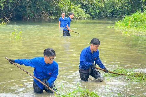 Bạn trẻ giữ gìn dòng chảy xanh