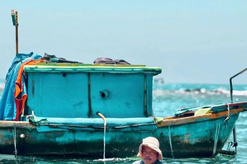 Ngư dân Quảng Ngãi 'bỏ túi' tiền triệu mỗi ngày nhờ săn loài gai góc đầy mình