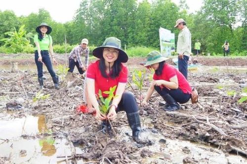 HL-HV JOCs tiếp tục triển khai hoạt động trồng cây và an sinh xã hội tại Cà Mau