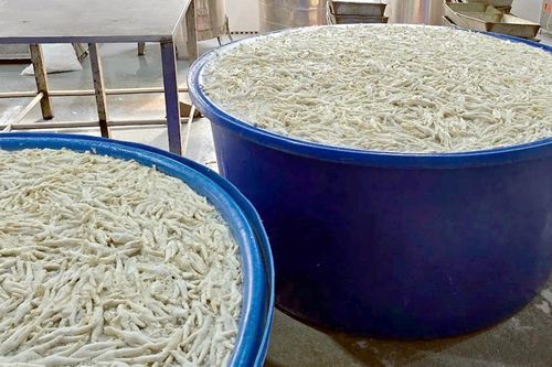 Cảnh sát kiểm tra kho chân gà 13 tấn, phát hiện sự thật khó chấp nhận