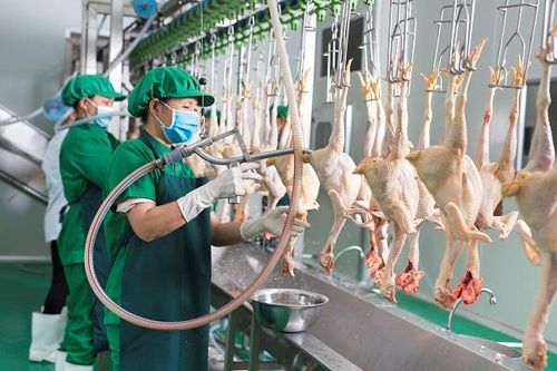 Cơ sở giết mổ của Công ty Vạn Kiến Đạt bị xử phạt 320 triệu đồng