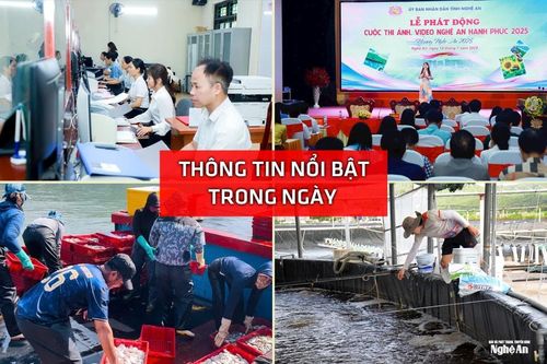 Nghệ An: Thông tin nổi bật ngày 14/7