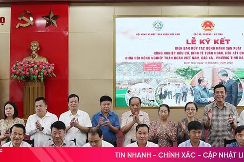 Tiếp tục duy trì liên kết sản xuất nông nghiệp tuần hoàn, hữu cơ Quế Lâm