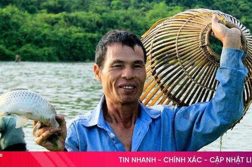 Podcast: Tản văn - Nhớ mùa cá cạn