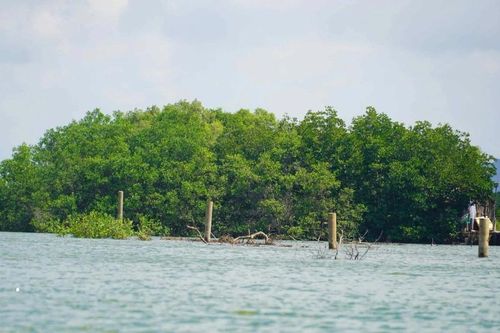 TP. Hồ Chí Minh: Xuất hiện nhiều cọc bêtông cắm kiên cố trên sông Ba Cội