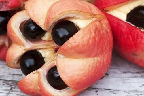 Những thực phẩm nguy hiểm bậc nhất thế giới, cái số 2 ở Việt Nam có nhiều