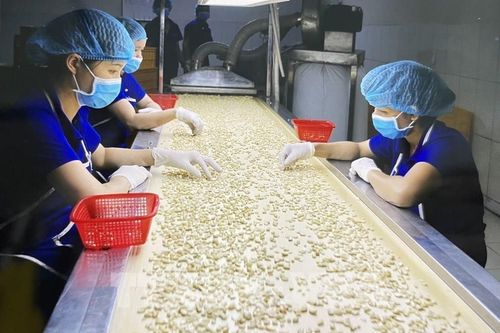 Xúc tiến mở rộng thị trường mới xuất khẩu hạt điều