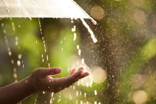 Gọi về những cơn mưa mùa hạ