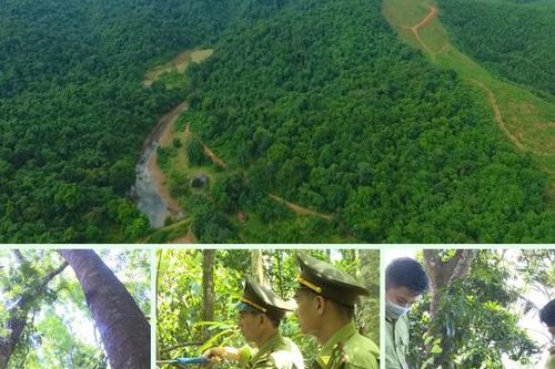 Chương trình ERPA mang về gần 200 tỷ cho các chủ rừng tại Thanh Hóa