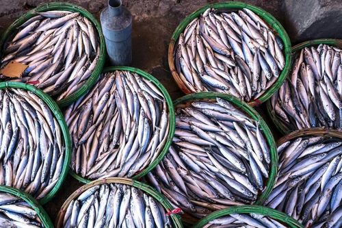 Nghề hấp cá ở phố cảng Quy Nhơn