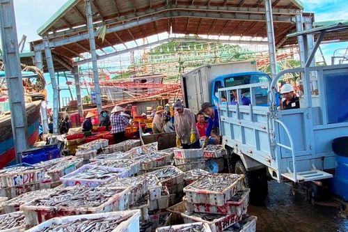 Ngư dân Đề Gi đoàn kết giữ vững chủ quyền biển, đảo